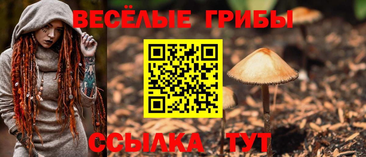 Чебоксары  даркнет сайт  Вход с VPN  Галлюциногенные грибы ЛСД 